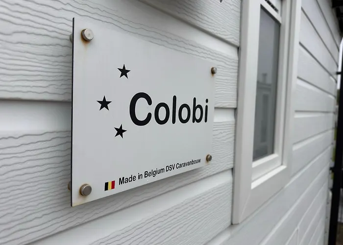 Oasis Middelkerke Romy 1, 2, 3, 4 营地